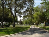 Woodlands at Church Lake