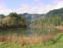 Umpqua River Haven