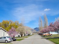 Wasatch View Estates