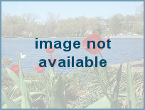 Bramblewood Mobile Home Park